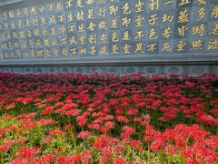 -西安大兴善寺