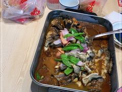 -鱼酷活鱼烤鱼(沈阳大悦城店)