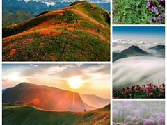 -贵州百里杜鹃风景名胜区