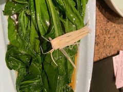 -绿茶餐厅(coco park 店)