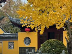 -圆通寺