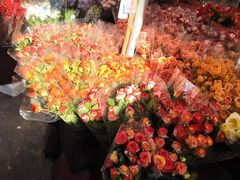 -循礼门鲜花花市(武汉循礼门店)