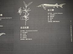 -中国湿地博物馆