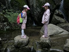 -天目山大树王景区