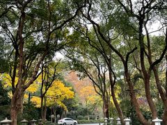 -杭州西子湖四季酒店·金沙厅