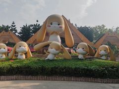 -深圳野生动物园