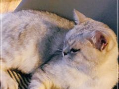 -不舍昼夜咖啡馆