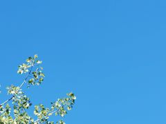 -兰湘子·湘菜小炒(三桥万象城店)