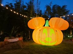 -HERRE·FARM 赫尔露营农场·团建聚会包场