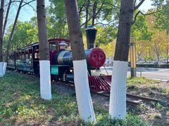 -合肥滨湖国家森林公园