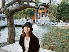 -碑林公园
