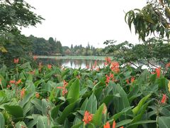 -云南滇池花园国际大酒店温泉