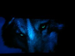 android_upload_pic-UME影城(安贞DTS:X店)