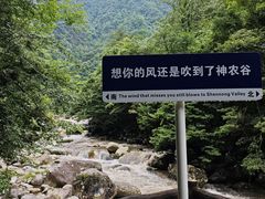 -炎陵县神农谷国家森林公园