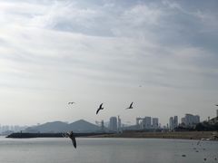 -星海广场