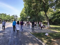 -荆川公园