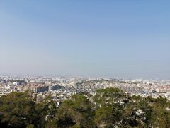 -仙岳公园