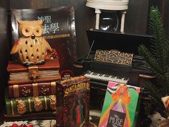 -雪灵魔法世界SHELLY’S TAROT(大良桂畔里店)