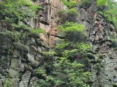 -茅兰沟国家森林公园