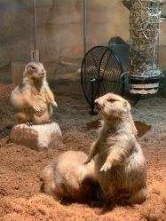 -Zoolung Zoolung动物主题公园(海信广场店)