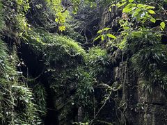 -梭布垭石林景区