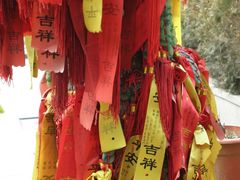 -亭林园-华藏寺