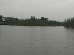 -白鹭湾湿地公园