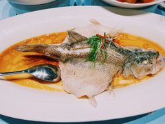 鲈鱼-青螺餐厅·家宴(松雅湖店)