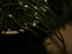 -行人小筑·茶馆(岑村火炉山分店)