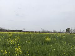 -嘉北郊野公园