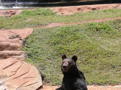 -海南热带野生动植物园