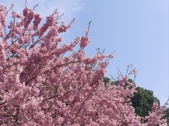 -南山植物园