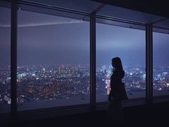 -六本木新城展望台(东京城市景观)