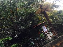 -西安国际创新人才交流中心•药浴温泉