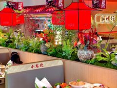 -小龙坎火锅(IFS HOT店)