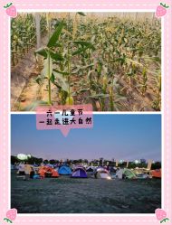-麦粒鸟亲子游