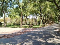 -上海鲜花港