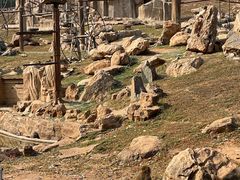 -石家庄市动物园