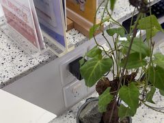 -美可普口腔医院(宝龙标杆店)