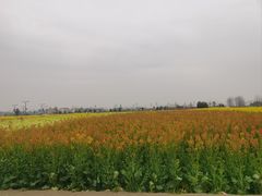 -中国天府农业博览园