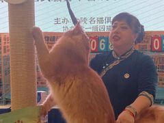 -金茂览秀城