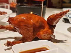 -侨美食家·41年地道粤菜(恒福路店)