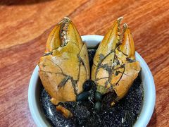 -老财炒饭·熟地蟹·冬瓜蟹