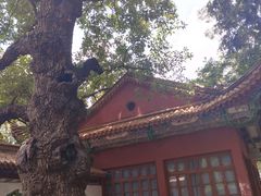 -昆明市金殿名胜区