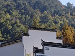 -塔川景区