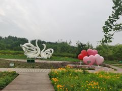 -东郊湿地公园