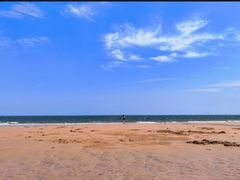 -日照海滨国家森林公园