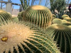 -北京植物园-展览温室
