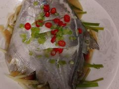 -大班家政月嫂育儿嫂(深圳NO.1店)