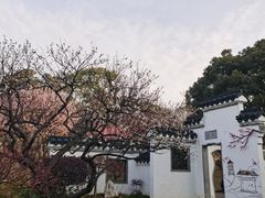 -无锡梅园公园